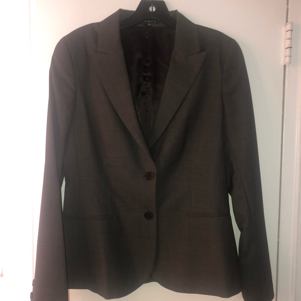 Theory Suit